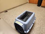 Now this carrier remains empty.  And Buster, Elvis, and the two humans feel that inside.  We all miss you, Charlie.