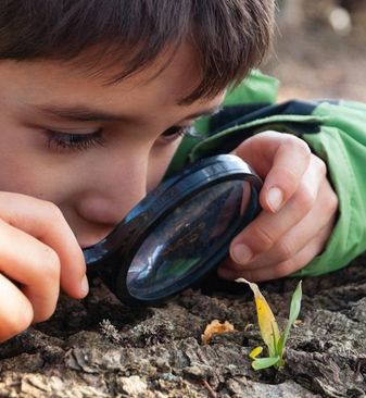 Image: A boy examines a plant under a magnifying glass.