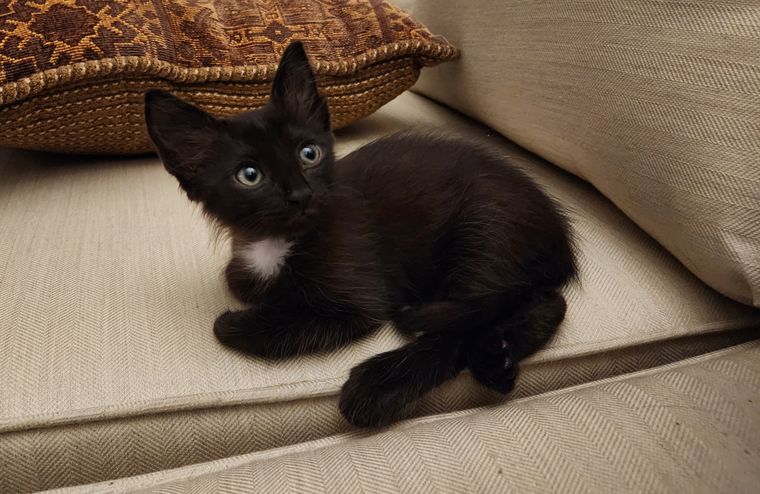 This is Charlie.