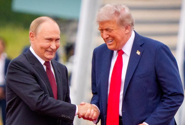 Apex Predators in Battle