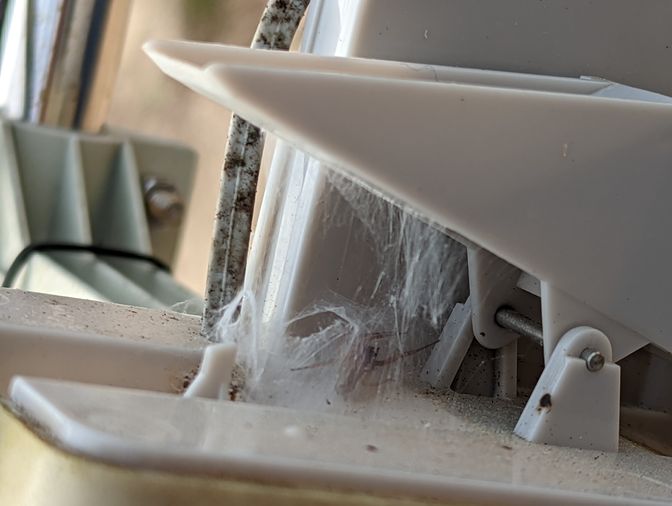 Everyone needs shelter. This spider will have to find it elsewhere. Image: A spider in the rain gauge.