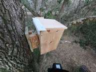 The squirrel house is mostly finished in this pic.  I did come back and apply a coat of Henry's Elastomeric Roof Coating on the top.